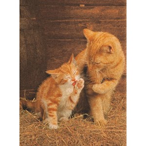 Clementoni (30205) - "Ginger Cats - Cork puzzle" - 500 piezas