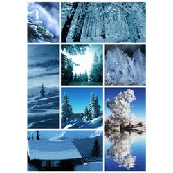 Puzzle Michele Wilson (00018) - "Winter Collage" - 150 piezas