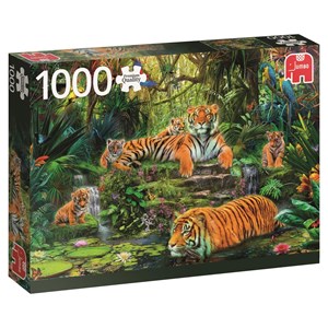 Jumbo (17245) - "Family of tigers at the Oasi" - 1000 piezas