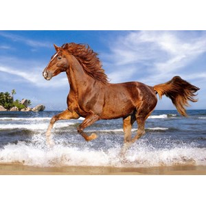 Castorland (B-52578) - "Horse on the Beach" - 500 piezas