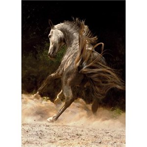 D-Toys (65988-PH03) - "Horse in the Dust" - 1000 piezas