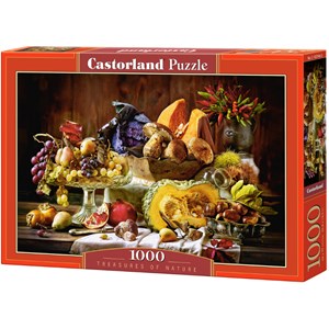 Castorland (C-103546) - "Treasures of Nature" - 1000 piezas