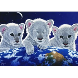 Grafika (02403) - Schim Schimmel: "Secret, Mystery and Hope" - 1000 piezas