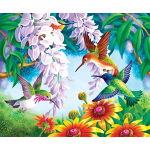 SunsOut (67605) - "Hummingbird Fly By" - 1000 piezas