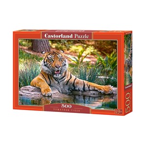 Castorland (B-52745) - "Sumatran Tiger" - 500 piezas