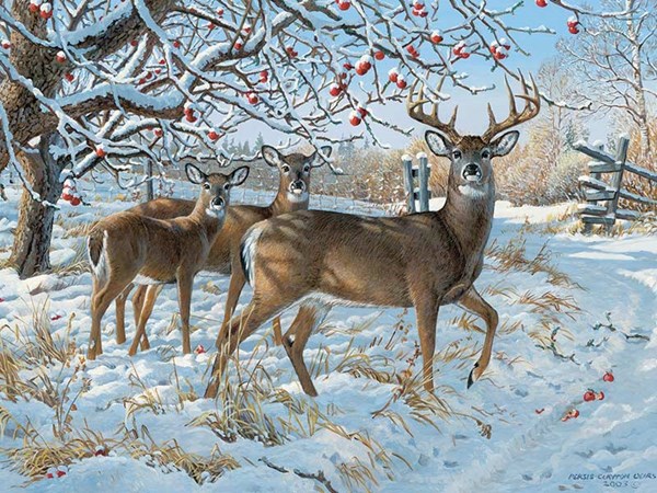 Cobble Hill (52083) - Persis Clayton Weirs: "Winter Deer" - 500 piezas