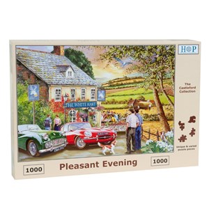 The House of Puzzles (4067) - "Pleasant Evening" - 1000 piezas