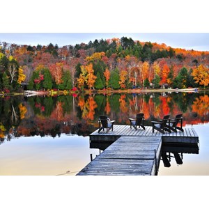 Grafika Kids (01199) - "Zen Moment" - 12 piezas