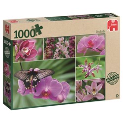 Jumbo (18354) - "Holland Orchids" - 1000 piezas