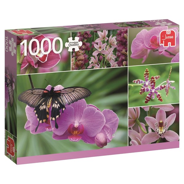 Jumbo (18354) - "Holland Orchids" - 1000 piezas