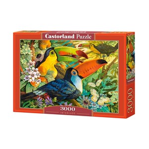 Castorland (C-300433) - David Galchutt: "Interlude" - 3000 piezas