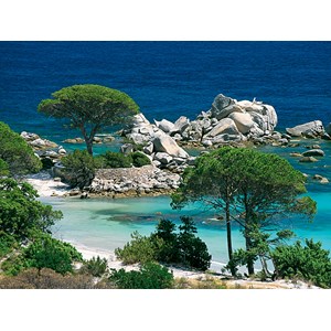 Nathan (87459) - "Corsica, Palombaggia Beach" - 1000 piezas