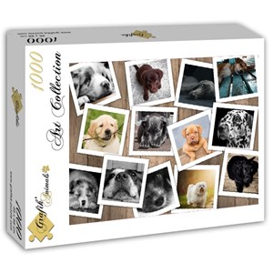 Grafika (T-00380) - "Dogs" - 1000 piezas