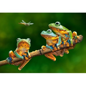 Castorland (B-52301) - "The Frog Companions" - 500 piezas