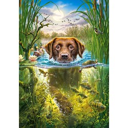 Castorland (B-52882) - "Swimming Dog" - 500 piezas