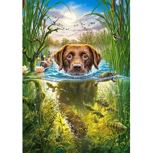 Castorland (B-52882) - "Swimming Dog" - 500 piezas
