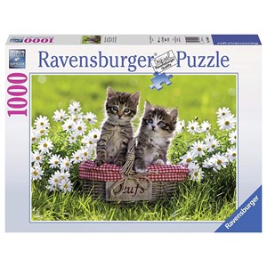 Ravensburger (19480) - "Picnic on the meadow" - 1000 piezas