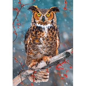 Castorland (B-52387) - "Great Horned Owl" - 500 piezas
