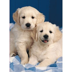 Ravensburger (14238) - "Golden Retriever" - 500 piezas