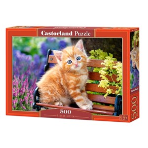 Castorland (B-52240) - "Ginger Kitten" - 500 piezas