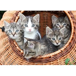 Grafika Kids (00522) - "Kittens in a Basket" - 24 piezas