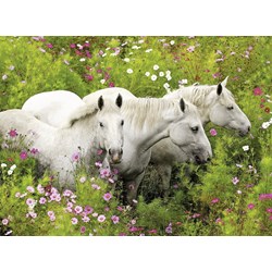 Ravensburger (13218) - "Horses on the Flower Meadow" - 300 piezas