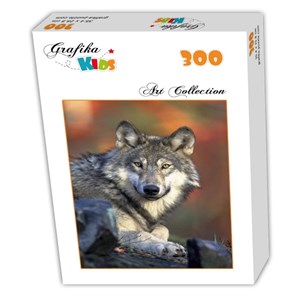Grafika Kids (00515) - "Wolf" - 300 piezas