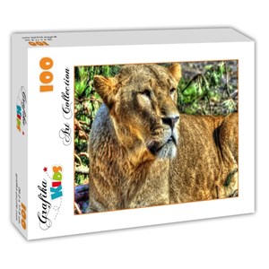 Grafika (00957) - "Lioness" - 100 piezas