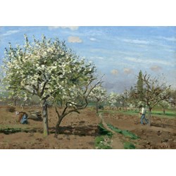 Grafika (02028) - Camille Pissarro: "Orchard in Bloom, Louveciennes, 1872" - 1000 piezas
