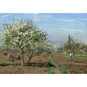 Grafika (02028) - Camille Pissarro: "Orchard in Bloom, Louveciennes, 1872" - 1000 piezas