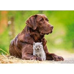 Castorland (B-13326) - "Big and Little" - 120 piezas