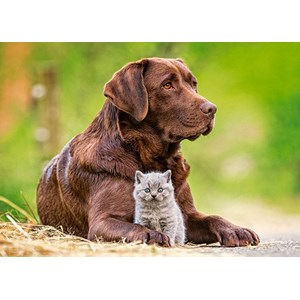 Castorland (B-13326) - "Big and Little" - 120 piezas