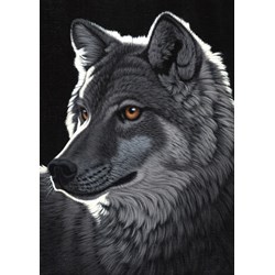 Grafika (T-00437) - Schim Schimmel: "Night Wolf" - 1000 piezas