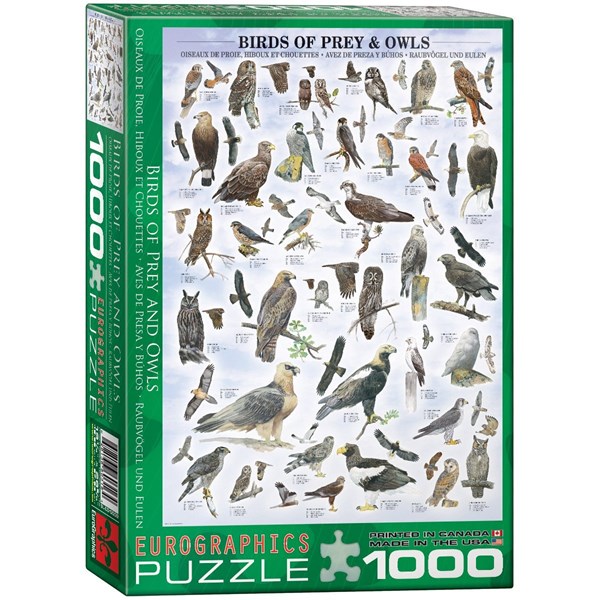 Eurographics (6000-0316) - "Birds of Prey and Owls" - 1000 piezas