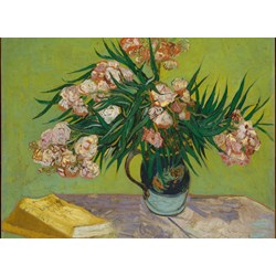 Grafika Kids (00438) - Vincent van Gogh: "Oleanders,1888" - 300 piezas