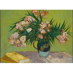 Grafika Kids (00438) - Vincent van Gogh: "Oleanders,1888" - 300 piezas