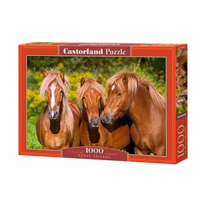 Castorland (C-103959) - "Horse Friends" - 1000 piezas