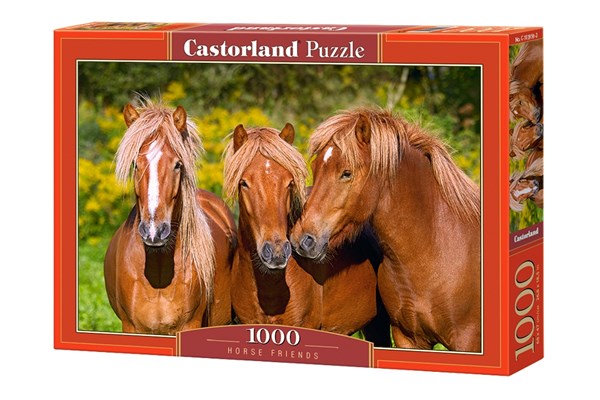Castorland (C-103959) - "Horse Friends" - 1000 piezas