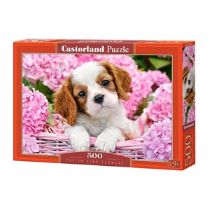 Castorland (B-52233) - "Pup in Pink Flowers" - 500 piezas