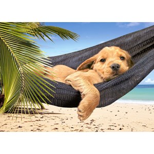 Castorland (B-52554) - "Leisure Time" - 500 piezas