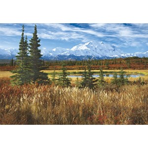 Educa (16008) - Rodney Lough Jr.: "Denali National Park" - 1500 piezas