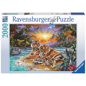 Ravensburger (16624) - "Tiger Family at Sunset" - 2000 piezas