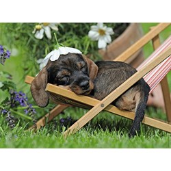 Ravensburger (14738) - "Charming Dachshund" - 500 piezas