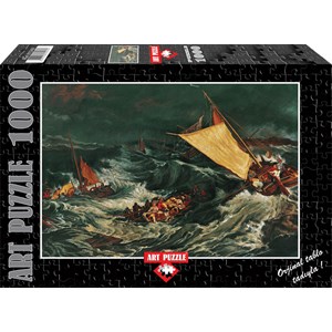 Art Puzzle (81049) - "Shipwreck" - 1000 piezas
