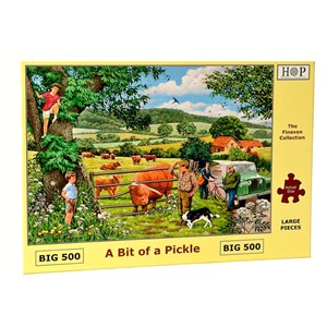 The House of Puzzles (4319) - "A Bit Of A Pickle" - 500 piezas