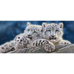 Castorland (B-060115) - "Snow Leopard Cubs" - 600 piezas
