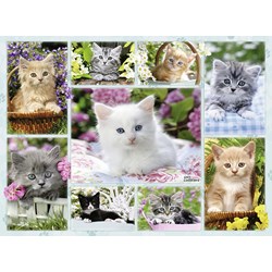 Ravensburger (14196) - "Kittens in their baskets" - 500 piezas
