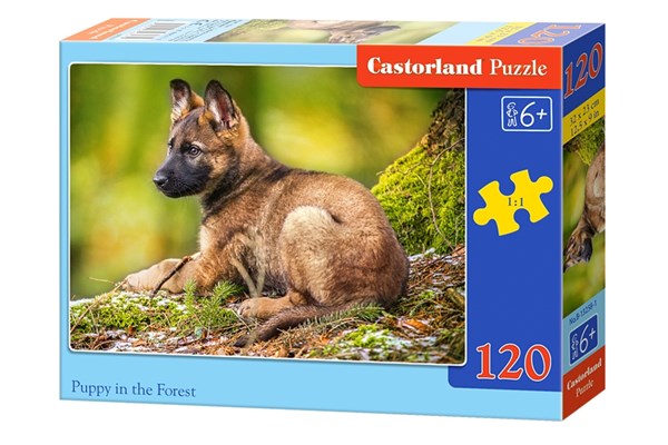 Castorland (B-13258) - "Puppy in the Forest" - 120 piezas