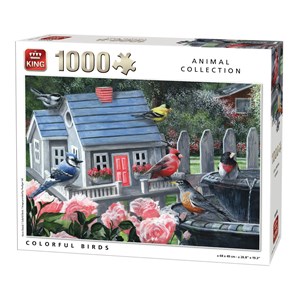 King International (05390) - "Colorful Birds" - 1000 piezas