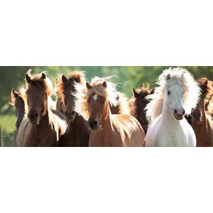 Ravensburger (15091) - "Wild Horses" - 1000 piezas